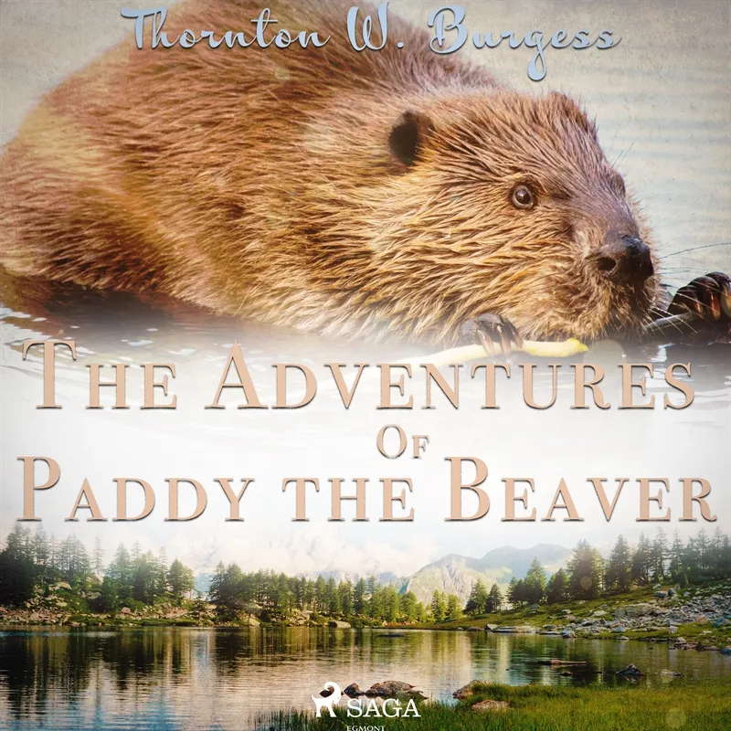 The Adventures of Paddy the Beaver , Ljudbok
