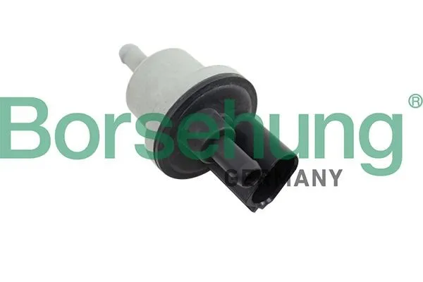 Ventil, aktivtkolfilter Borsehung B12188