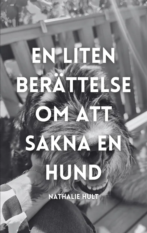 En liten berättelse om att sakna en hund, E-bok