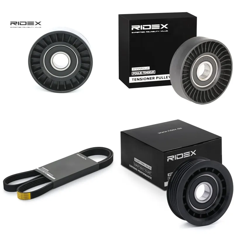 Drivremssats RIDEX 542R0651