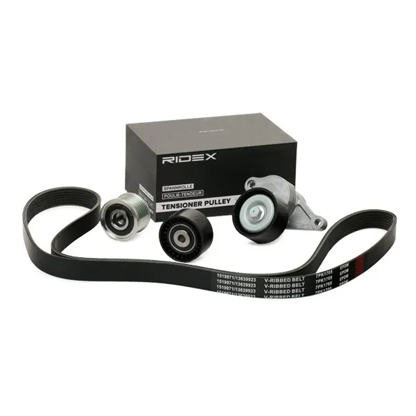 Drivremssats RIDEX 542R0141