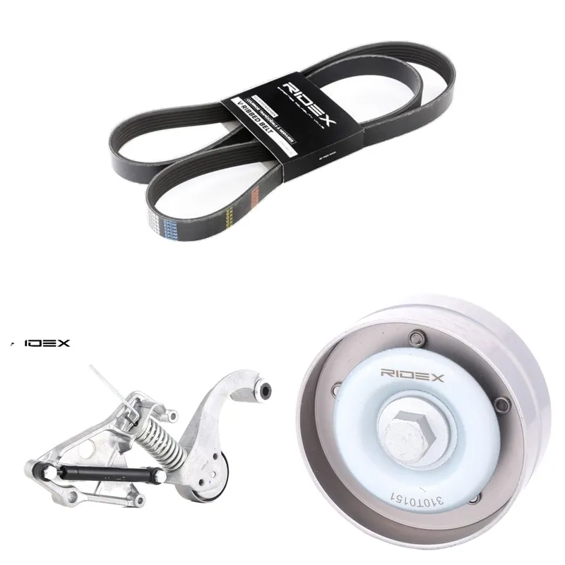 Drivremssats RIDEX 542R0160