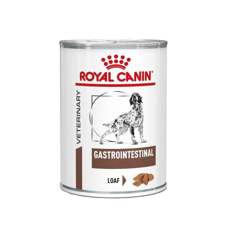 Veterinary Diets Gastrointestinal Loaf Can för hund – 12 x 400 g