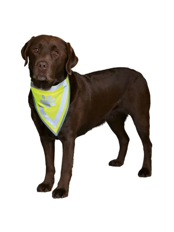 Reflexscarf Trixie Gul S-M