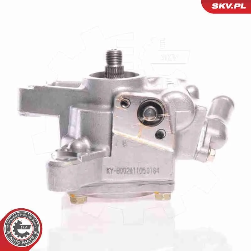 Servopump ESEN SKV 10SKV026