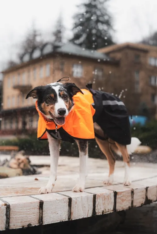 Fjord Raincoat 2.0 Regntäcke Orange 65