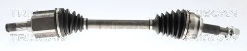 Drivaxel TRISCAN 8540 14591