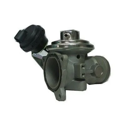 Egr-Ventil Magneti Marelli 571822112061