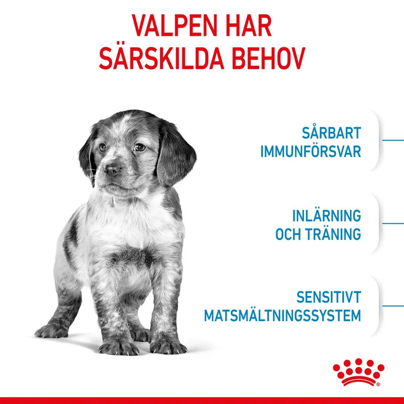 Royal Canin MEDIUM Puppy Torrfoder för hundvalp 15 kg
