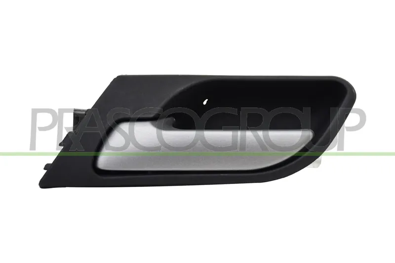 Dörrhandtag PRASCO BM8208512