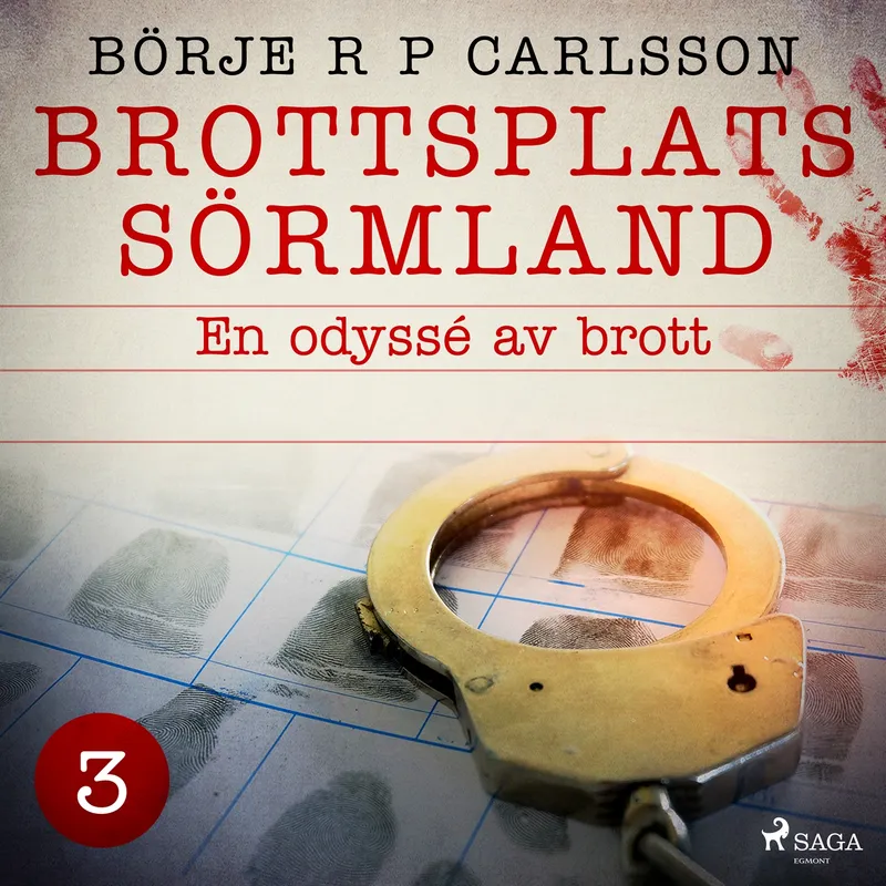 Brottsplats Sörmland. 3, En odyssé av brott