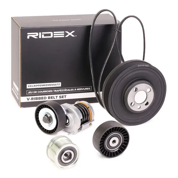 Drivremssats RIDEX 542R0403