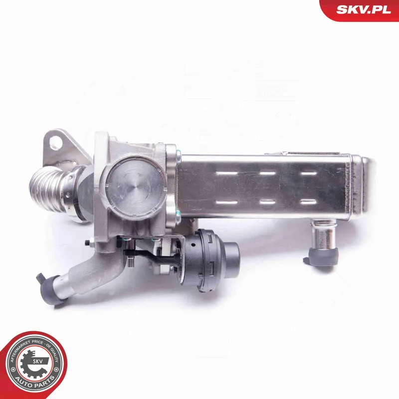 EGR-ventil ESEN SKV 14SKV135