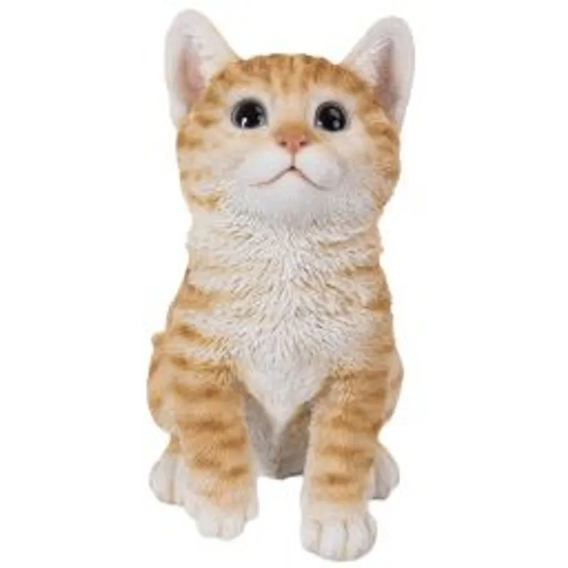 Orange kattunge (Polystone)