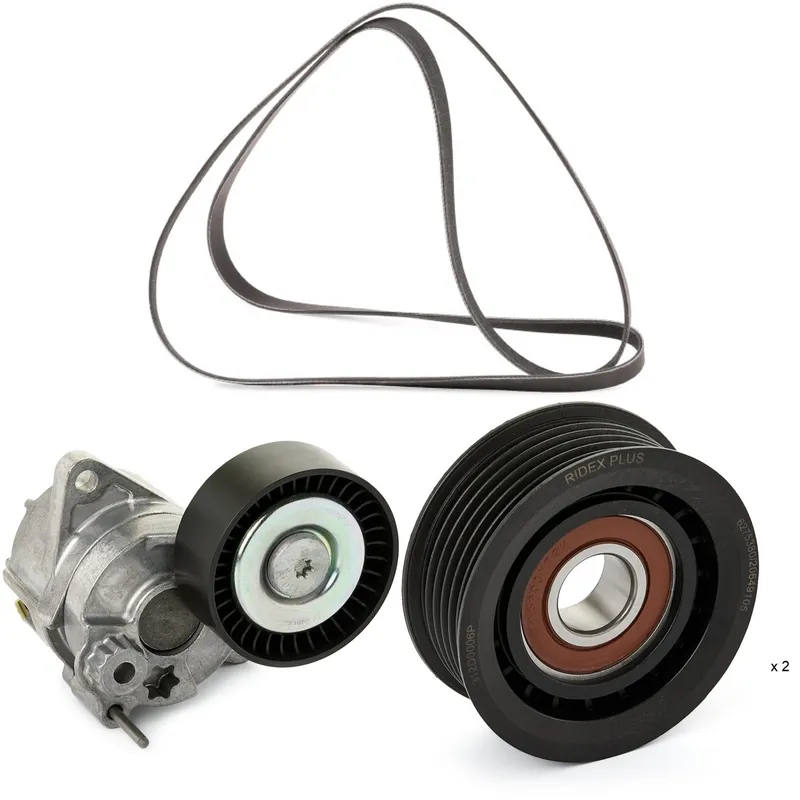 Drivremssats RIDEX PLUS 542R0210P