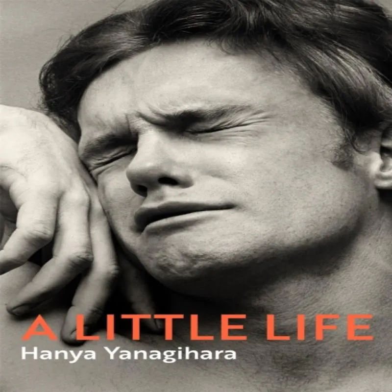 A Little Life (#1246)