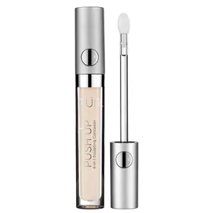 PÜR Cosmetics 4-in-1 Sculpting Concealer LN2