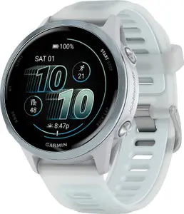 Garmin Forerunner 570 - 42mm Whitestone/cloud Blue