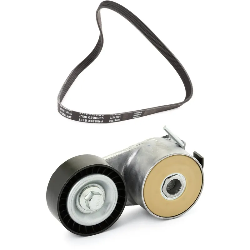Drivremssats RIDEX PLUS 542R1113P