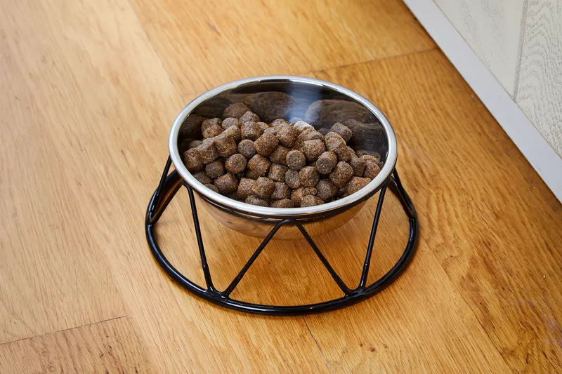 Dogman Menja Upphöjd Matskål Storlek L 700ml