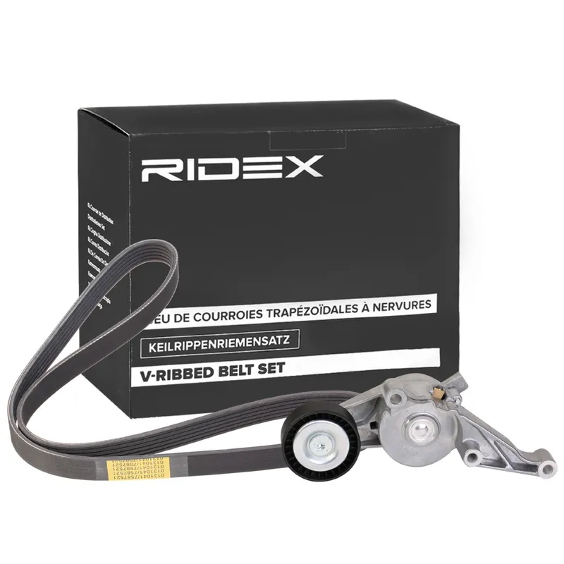 RIDEX 542R0724 Drivremssats