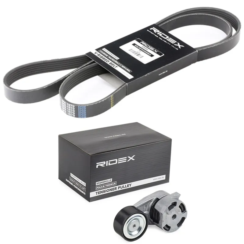 Drivremssats RIDEX 542R1333