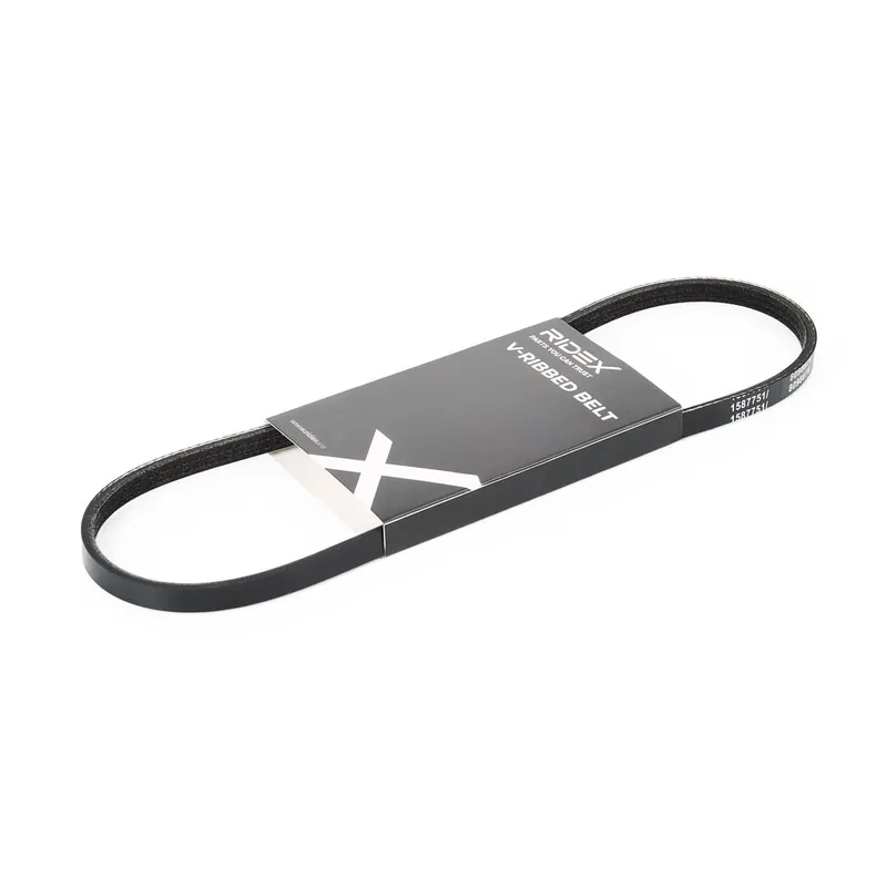 Multirem RIDEX 305P0003
