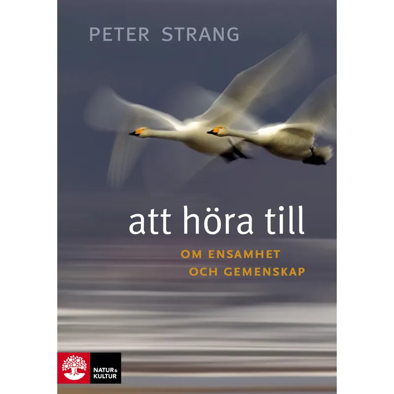 Att höra till : om ensamhet och gemenskap
