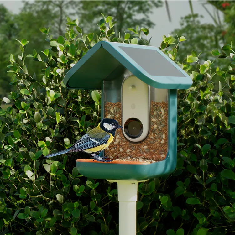 BirdBuddy Smart Fågelmatare med Solpanel - Fågelmatare