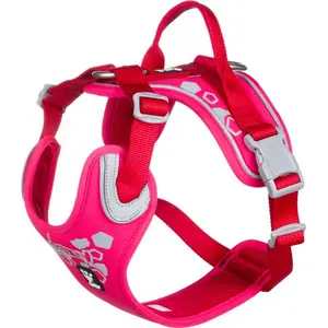 Weekend Warrior Hundsele - 100 - 120 cm / Ruby