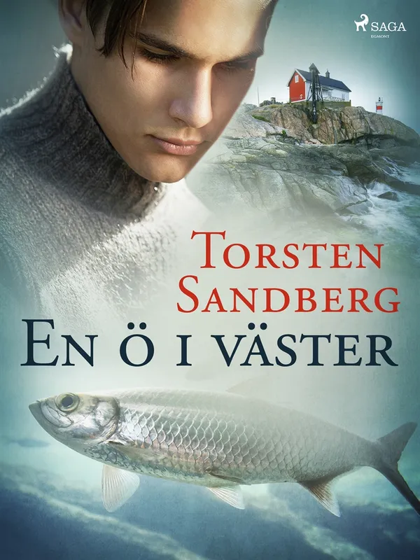 En ö i väster, E-bok