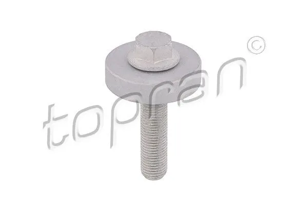Remskiveskruv TOPRAN 701 418
