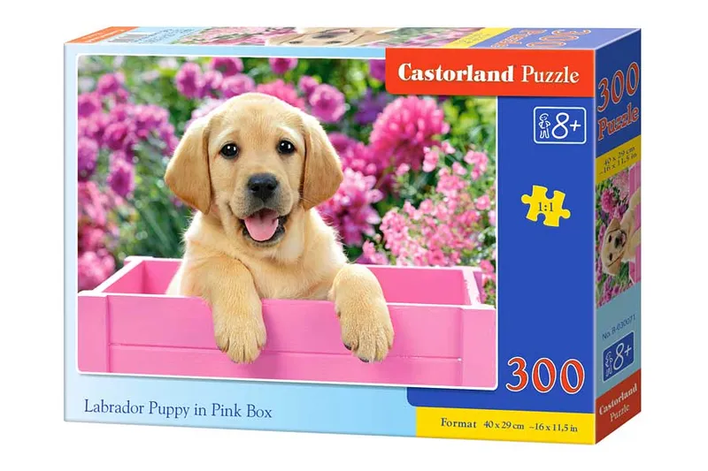 Castorland Pussel - Valp i Rosa 300 bitar