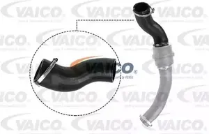 Laddluftslang VAICO V25-1057