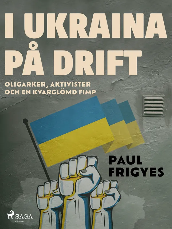 I Ukraina på drift, E-bok