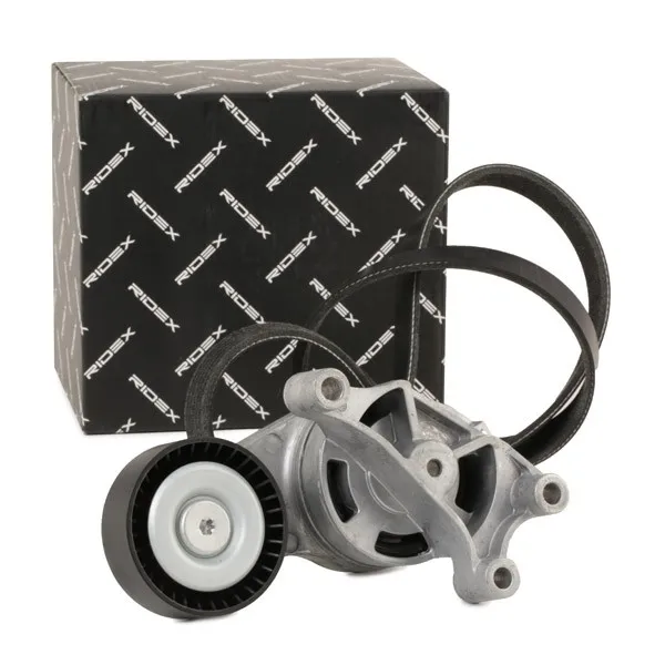 Drivremssats RIDEX 542R0211