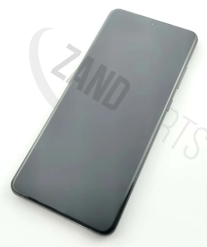 Samsung Galaxy S20 Ultra Skärm med LCD Display – Svart (Ingen Frontkamera)