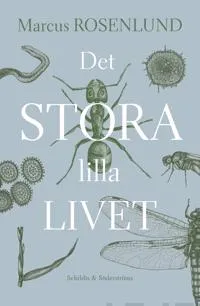 Det stora lilla livet