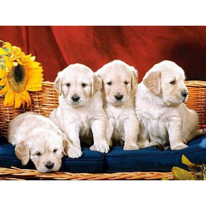 5D Gör-det-själv-diamantmålning Hund och solrosor helrund diamantbroderi korsstygn Rhinestone 20X30CM