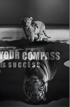 Affisch - Your Compass Is Success