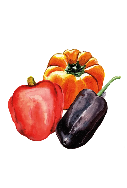 Paprika Mix - Capsicum annuum Mix
