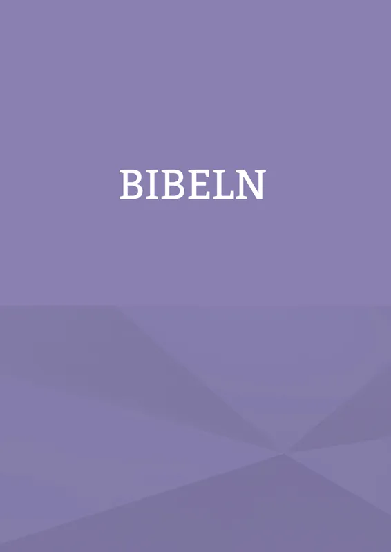 King James bibeln på svenska: Bibeln, E-bok