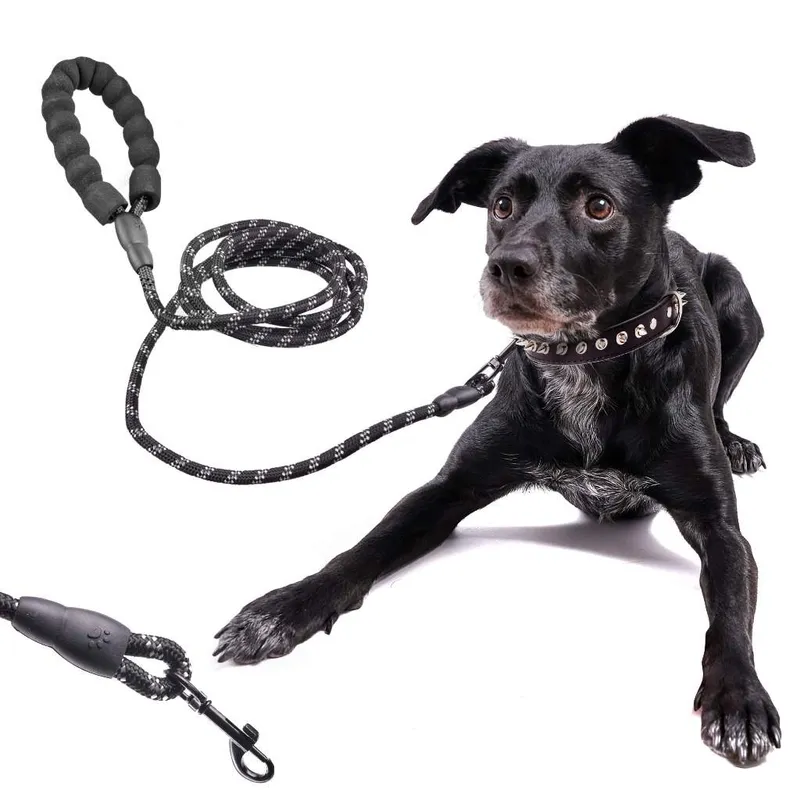 Reflekterande Hundkoppel 3m Svart med Skumhandtag