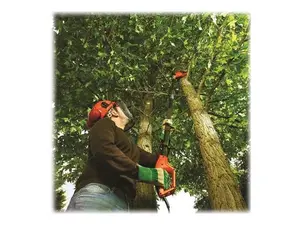 Black & Decker PS7525 800W Topsav 25cm 2.7m, ledningsversion (230V)