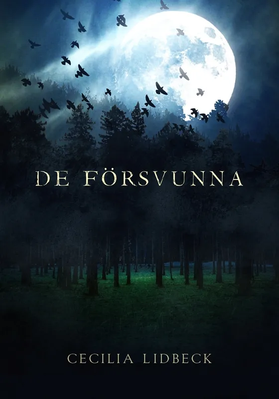 De försvunna, E-bok