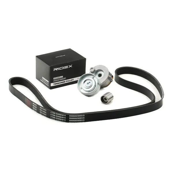 Drivremssats RIDEX 542R0285