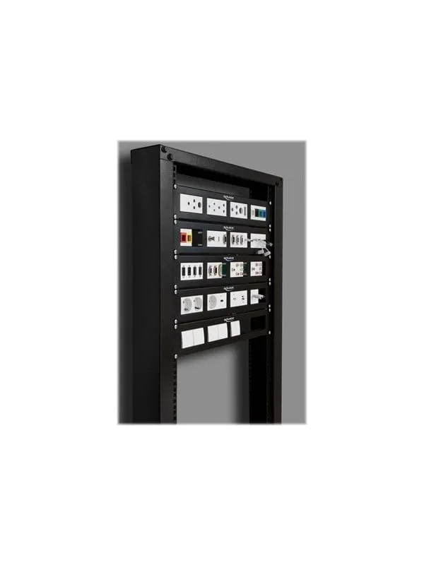 DeLOCK Patch Panel - 2U - 19″