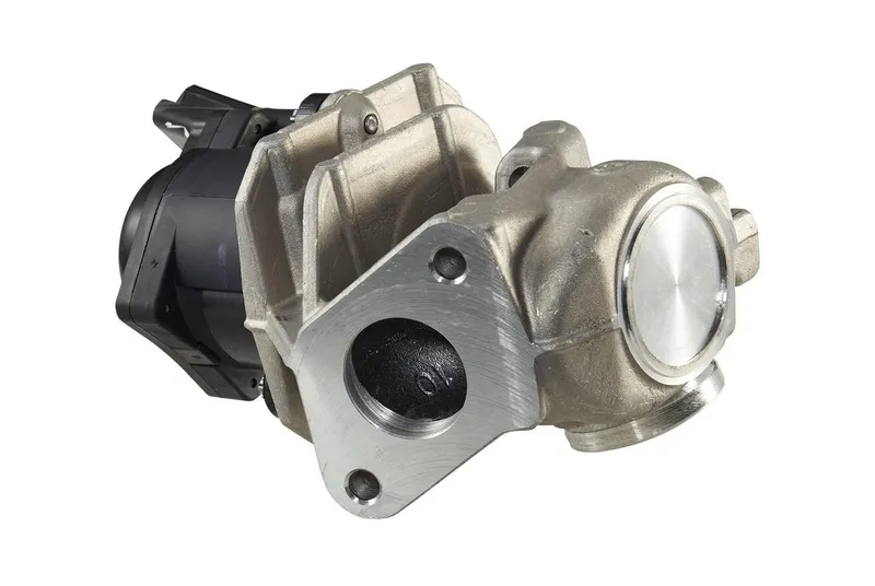 EGR-ventil HELLA 6NU 010 171-111