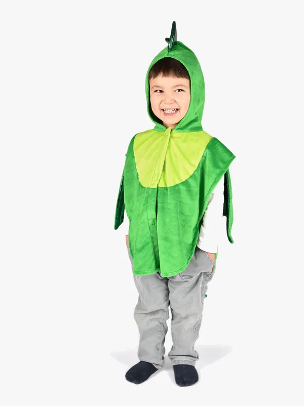 Den Goda Fen Maskeradkläder - Drake Kappa - Grön
