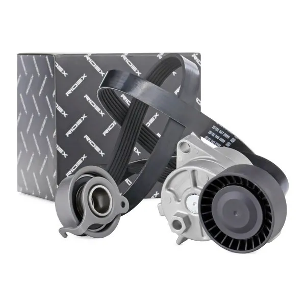 Drivremssats RIDEX 542R0388